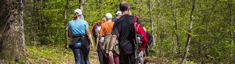 wandelsites|wandelagenda – De Wandelsite